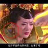 word官网下载电脑版免费使用